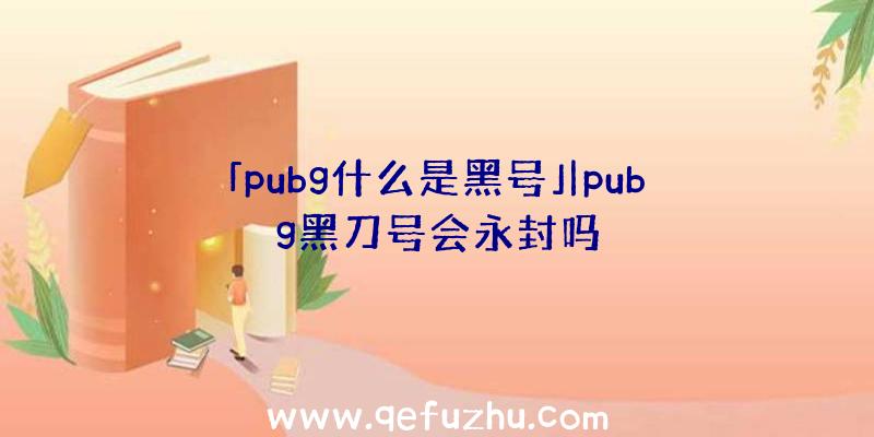 「pubg什么是黑号」|pubg黑刀号会永封吗